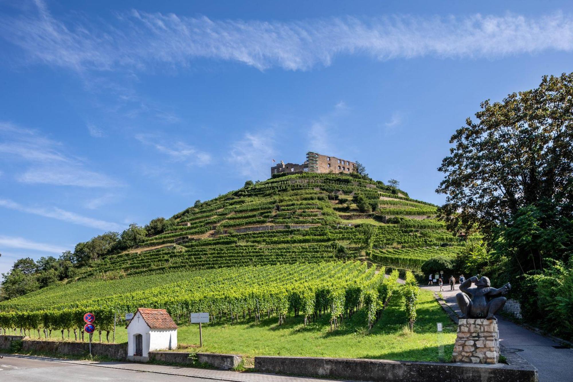 Ferienwohnung Am Neumagen Staufen im Breisgau Bagian luar foto